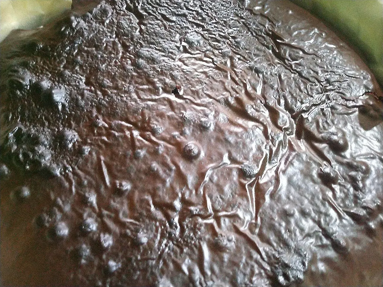 Crust of Chocolate Brownies