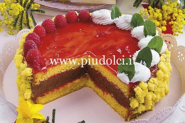 Torta farcita al cioccolato e lamponi